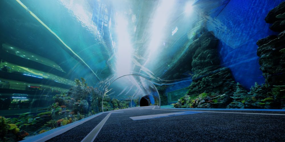 Acrylics Rewil Oceanariums: Chin Deep Sea Tech-Eco Innovations