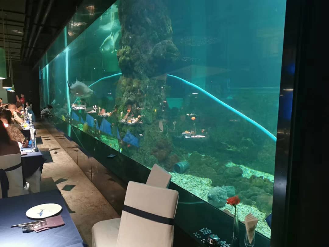 Jak wybrać odpowiednie meble akrylowe do swojej restauracji?